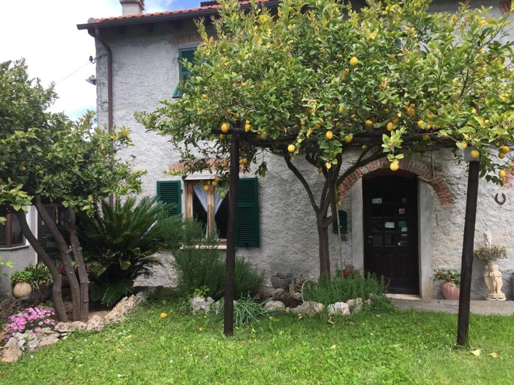 Agriturismo I Lamoi Finale Ligure Luaran gambar